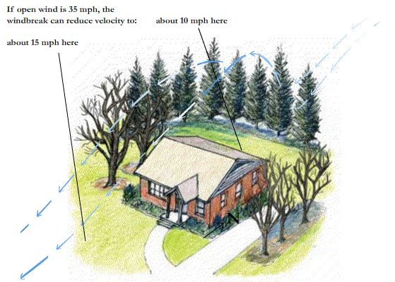 Drawing of overhead view of home and trees with directional arrows indicating wind direction