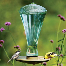 How to Turn Your Virginia Yard into a Certified Wildlife Sanctuary