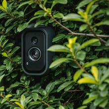 Camouflaged Cameras Used To Stake Out Homes