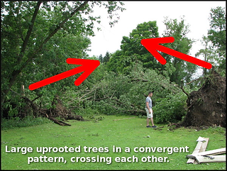 Tornado Damage showing uprooted trees crossing each other indicating winds coming from different directions