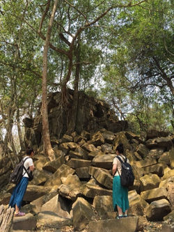 o0480064113600127124