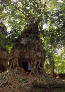 12046732_632949080180362_5000503344238001986_n