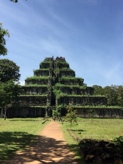 o0480064113600115895