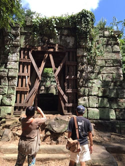 o0480064113531886853