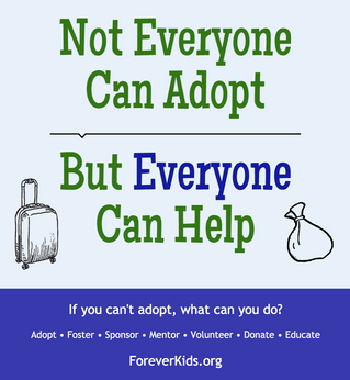 Not Everyone Can Adopt, But EVERYONE Can Help