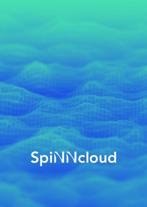Website für spiNNcloud