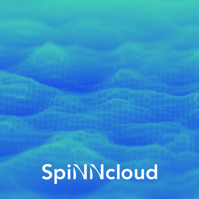 Website für spiNNcloud