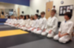 Murphy Sensei, Alamo Area Aikikai Aikido in San Antonio, Aikido of Austin