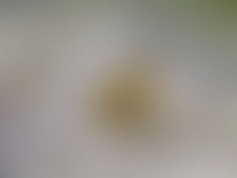 春濁り回復の兆し