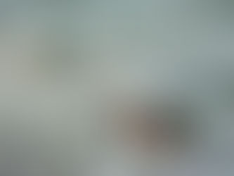 透明度は悪い時はマクロ一択!!