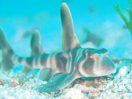 天気も海況も良好!