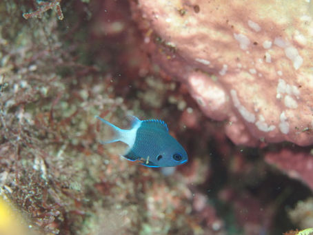 連休真っただ中