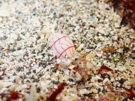 オープンしました!