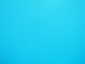 この時期の風物詩が入りました