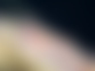 マクロもワイドも賑やかです!