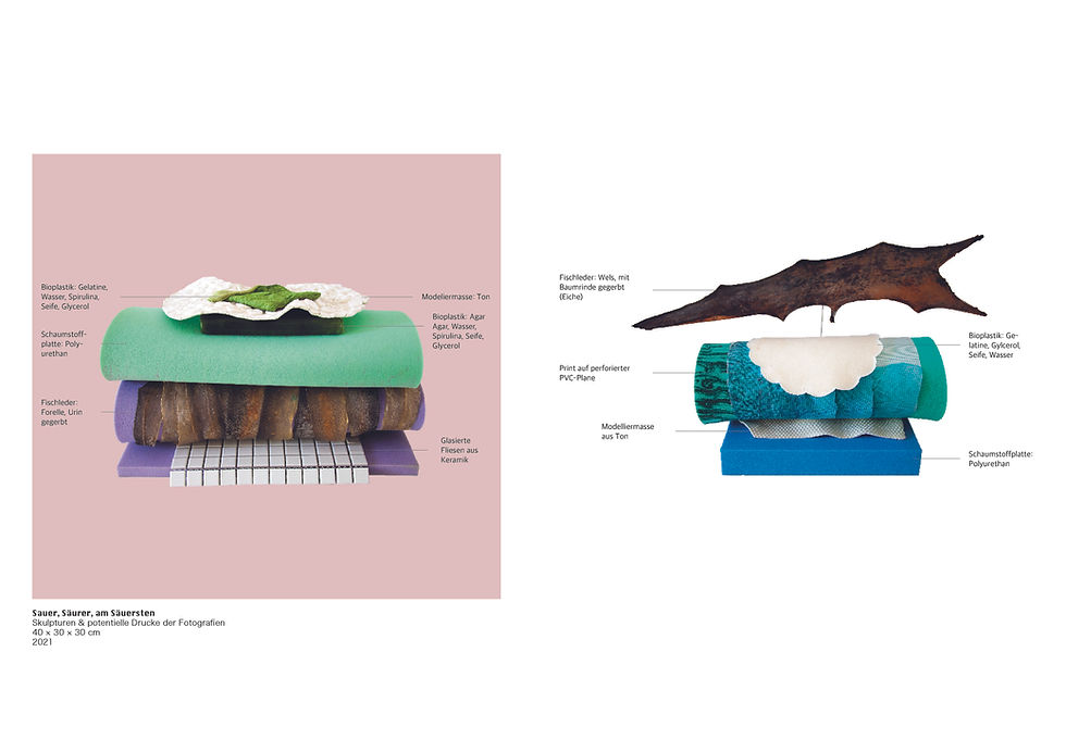 Portfolio_Version 19.2024_IsabelleFritz9.jpg