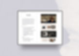branding guideline example for website