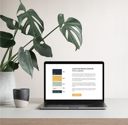brand style guide