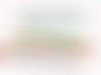 THE BRAND BEHIND THE BRAND DESIGNER