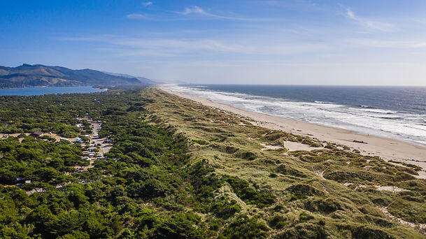 Pool House Manzanita-9.jpg