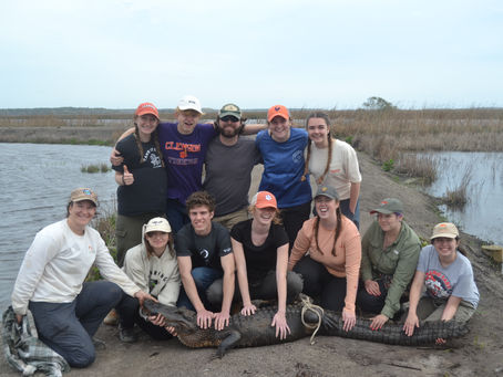 Unveiling the Wonders of Wetlands