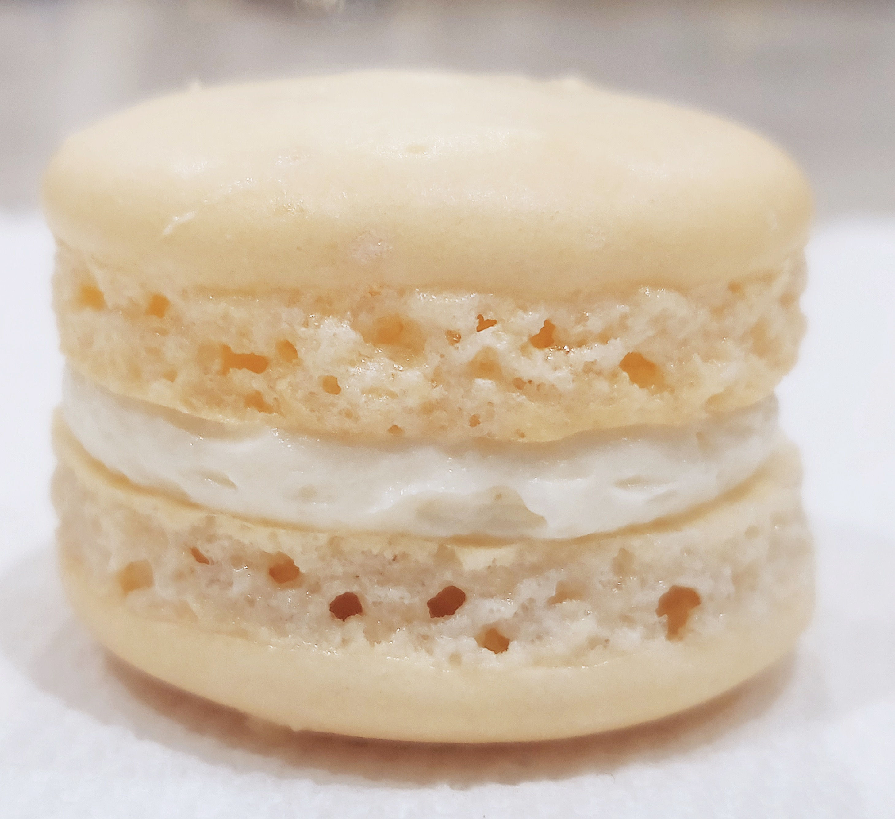 Vanilla French Macaron (6 pack)