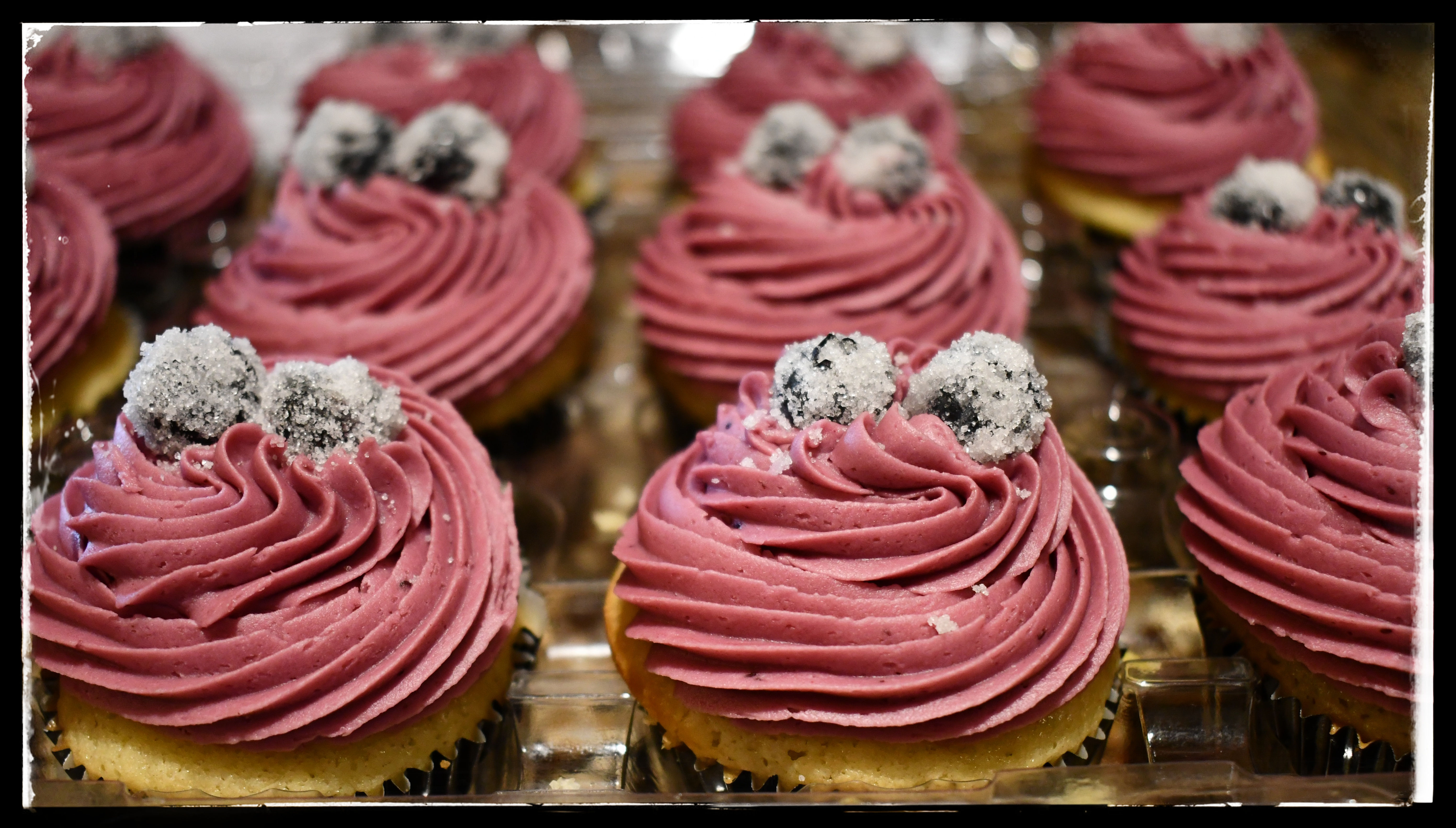 Blueberry Enchantment Cupcakes (dz count)