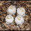 Thumbnail: Pineapple/Orange Cake Balls (24)