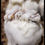 Thumbnail: Zero Candy Bar Cake Balls
