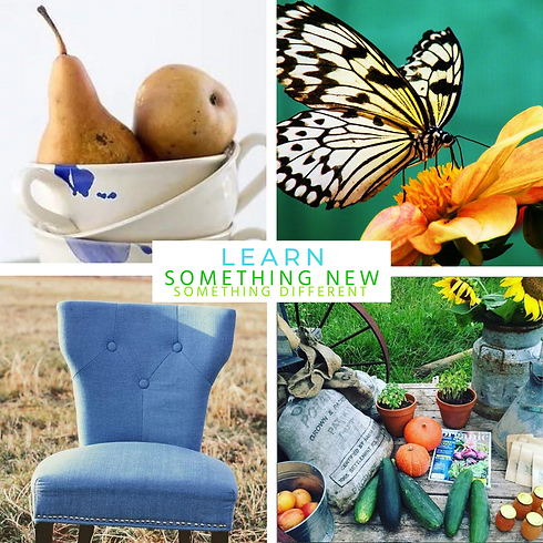 GROW Sustainabliving Courses Toms Creek Australia