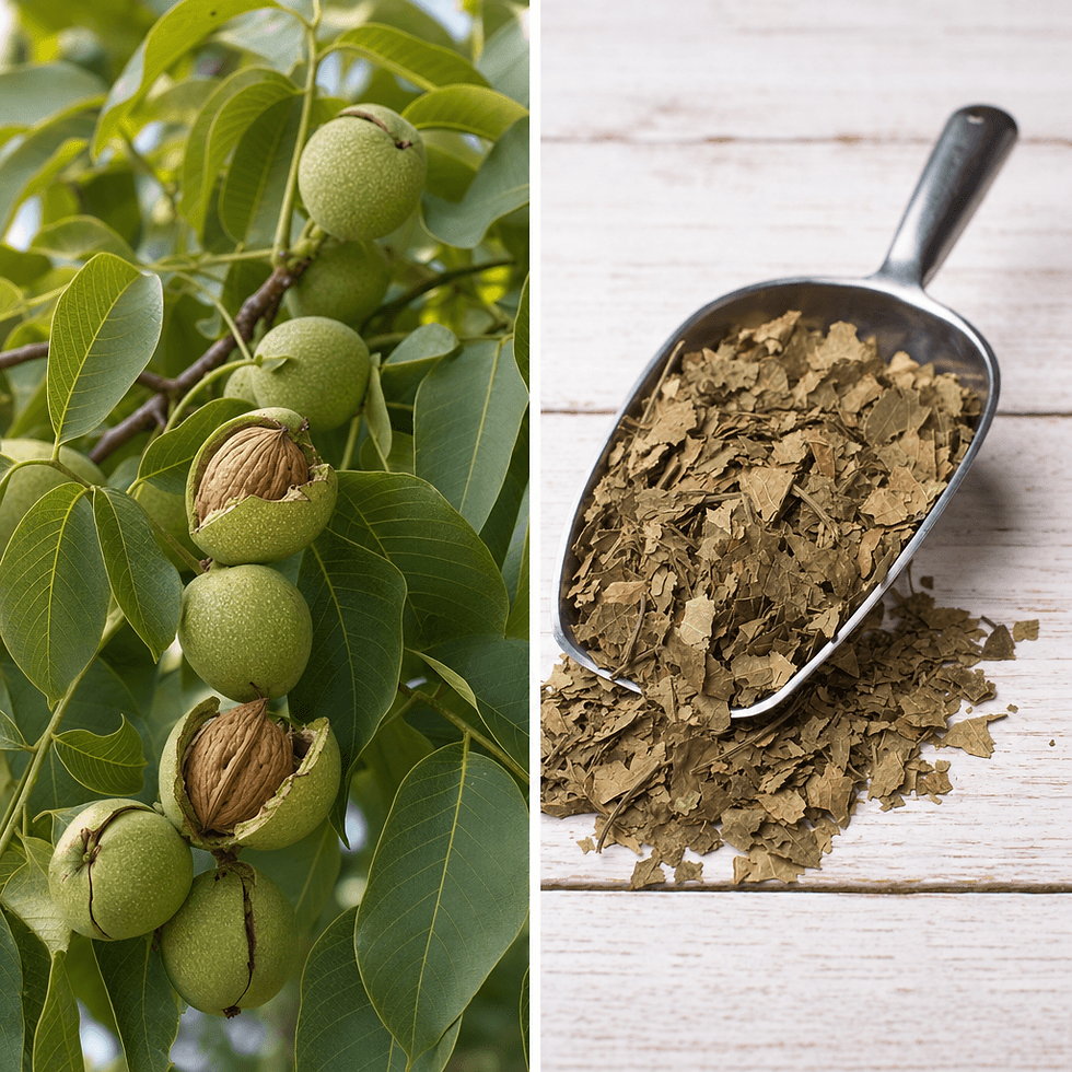 Getrocknete Walnussblätter für Kaninchen & Nager – natürliches Naturfutter