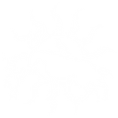 RFH Logo Hvid.png