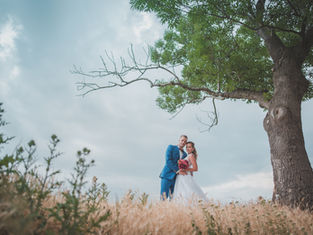 Svatba na Hradě Hněvín 