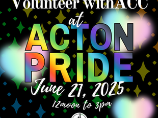 Volunteer at Acton-Westford Pride 