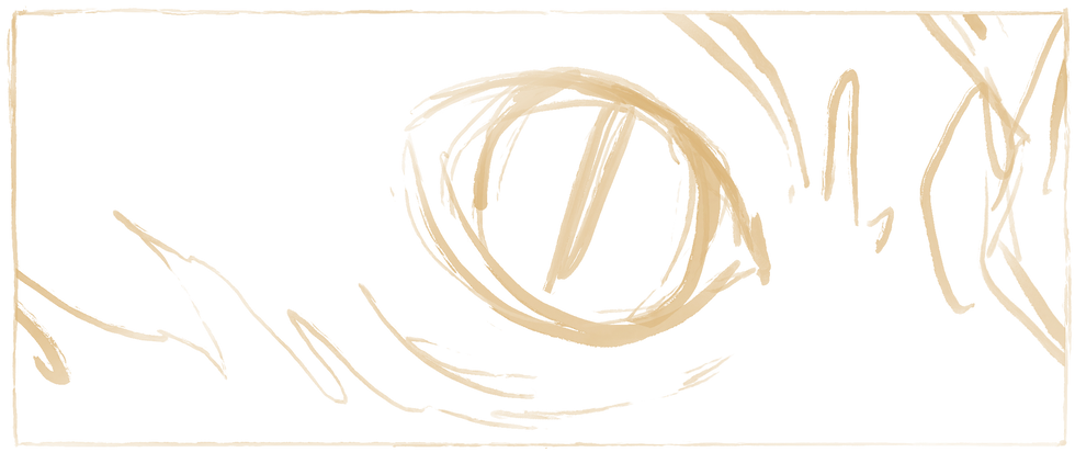 IMG_9159.PNG