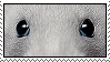 rat.gif