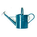Arrosage bleu Boîte en fer
