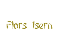 logo FI.png
