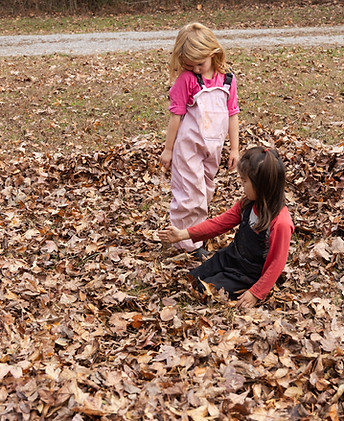 Autumn Leaf Pile-2025-7.jpg