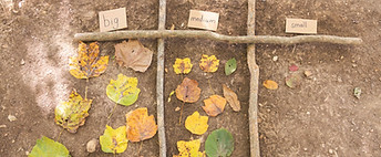 AFS_Fall-24.jpg