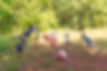 Morning Movement-1.jpg