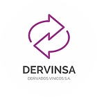 derVINSA.png