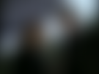 Arquivo X: A Besta Humana-Episódio 19-Temporada 1