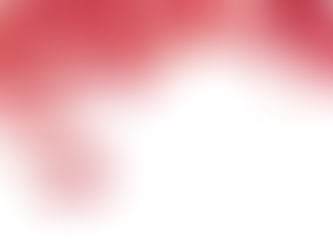 Rosas De Um Tempo - Primeira Fase