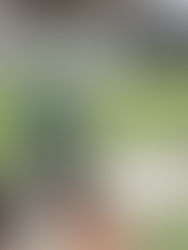 Kelantan sedia ambil tindakan kontraktor gagal urus pembetungan