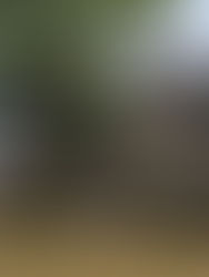 Indonesia lancar projek 3 juta kediaman setahun atasi masalah perumahan, mendapat sokongan dari negara-negara membangun