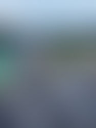 Kerajaan Malaysia telah meluluskan kemudahan pinjaman berjangka sebanyak RM1.15 bilion kepada West Coast Expressway Sdn Bhd (WCE), projek dapat diteruskan tanpa gangguan kewangan