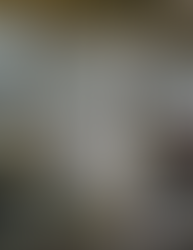 Tiga agenda pastikan Melayu, Bumiputera tidak ketinggalan - Osman Sapian