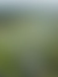 RM5.4 bilion diperuntukkan bagi 22 projek air di Perak di bawah RMK12