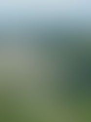 Program kesedaran di Limbang pembinaan Lebuh Raya Pantai Utara (NCH) sepanjang 44km termasuk jambatan